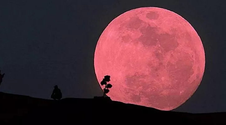 Eclipse Luna De Sangre Y Superluna De Flores Los Tres Fenómenos Astronómicos Que Coincidieron 9875