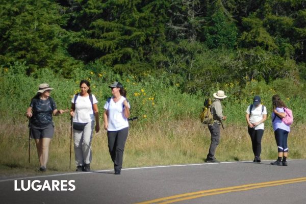 La nueva peregrinación que va de Jujuy a Salta en 5 días y se inspira en el Camino de Santiago