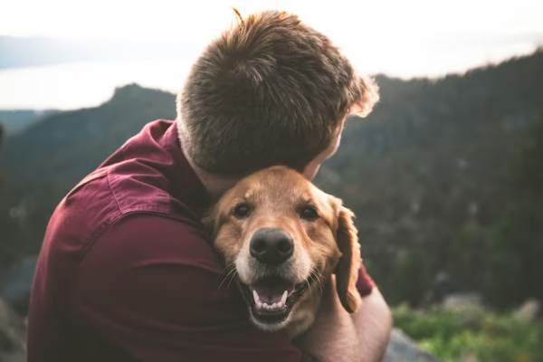 Los trucos para lograr que los perros huelan bien sin bañarlos