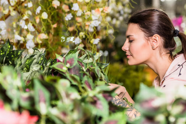 Las 15 plantas que recomiendan los especialistas si estas buscando una joyita para tu casa