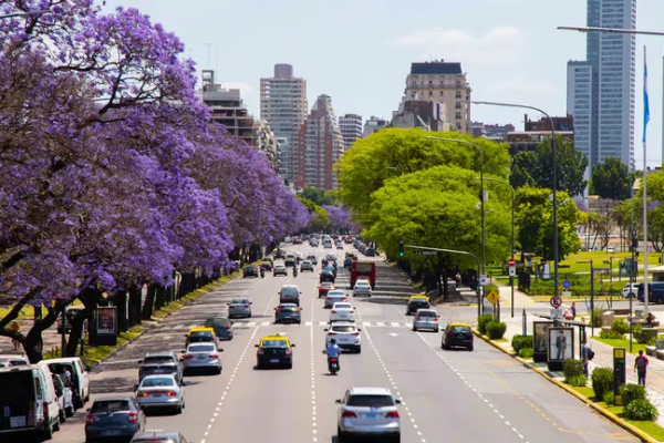 Historia de la primavera en Buenos Aires: del jacarandá que deslumbra turistas al plátano que enfurece a los alérgicos