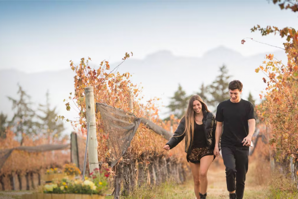 La ruta de los abstemios: planes entre las bodegas mendocinas sin tomar vino