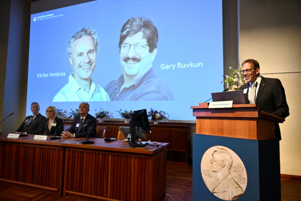 Qué es el microARN, el descubrimiento de los nuevos ganadores del Premio Nobel de Medicina