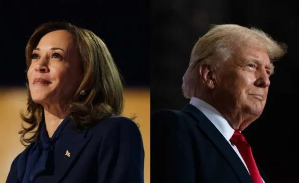 EEUU votó: Quiénes son los famosos que apoyaron a Kamala Harris y a Donald Trump