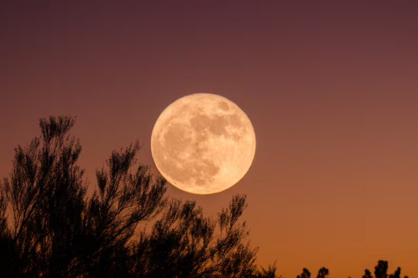 Luna del Castor, la última Superluna de 2024